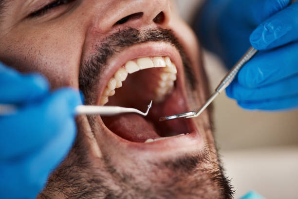 Best Emergency Dental Services for Seniors in East Mckeesport, PA